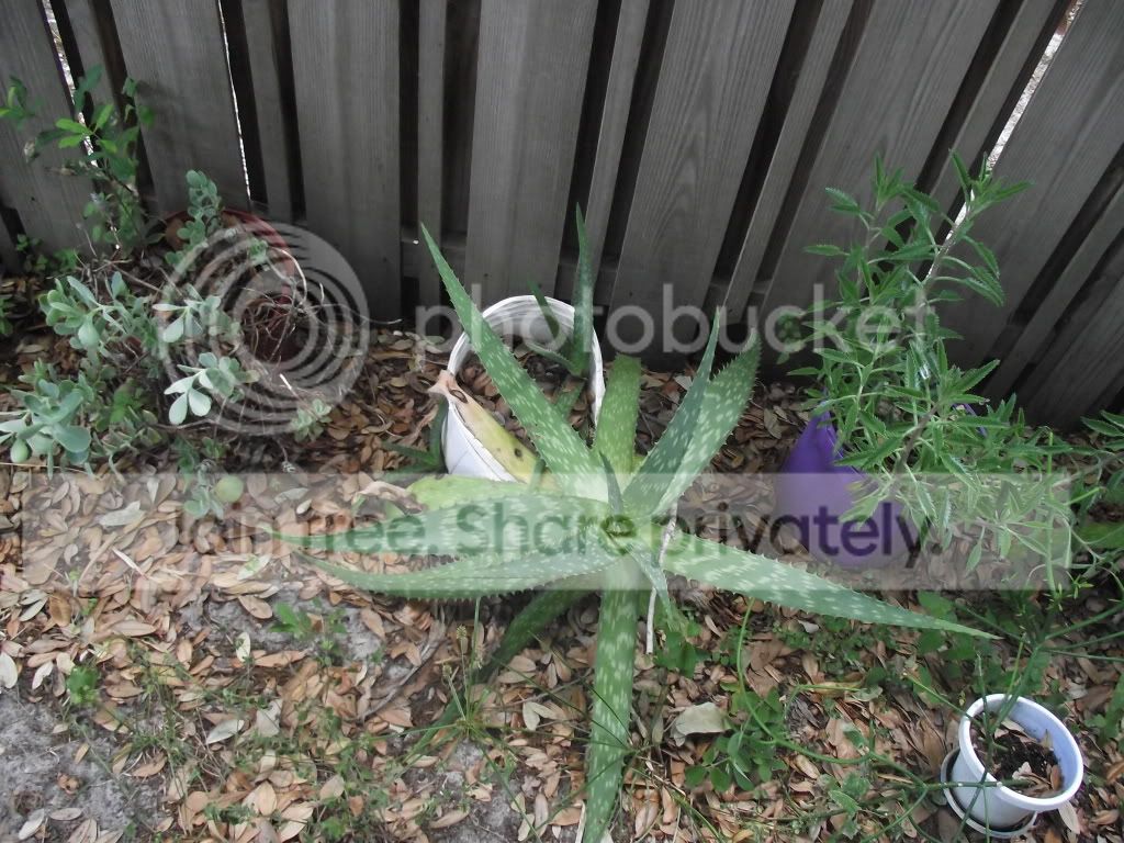 DSCF7935.jpg