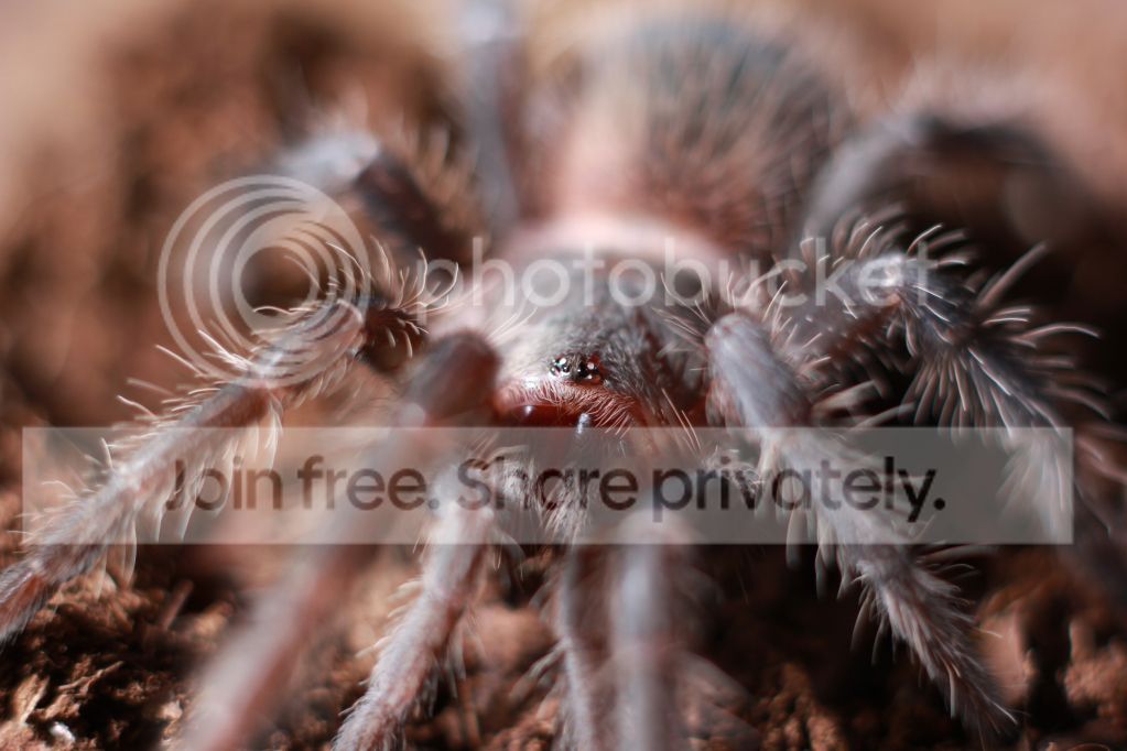 48b7165d88ddefafff5e7f5a5118fdd8.jpg