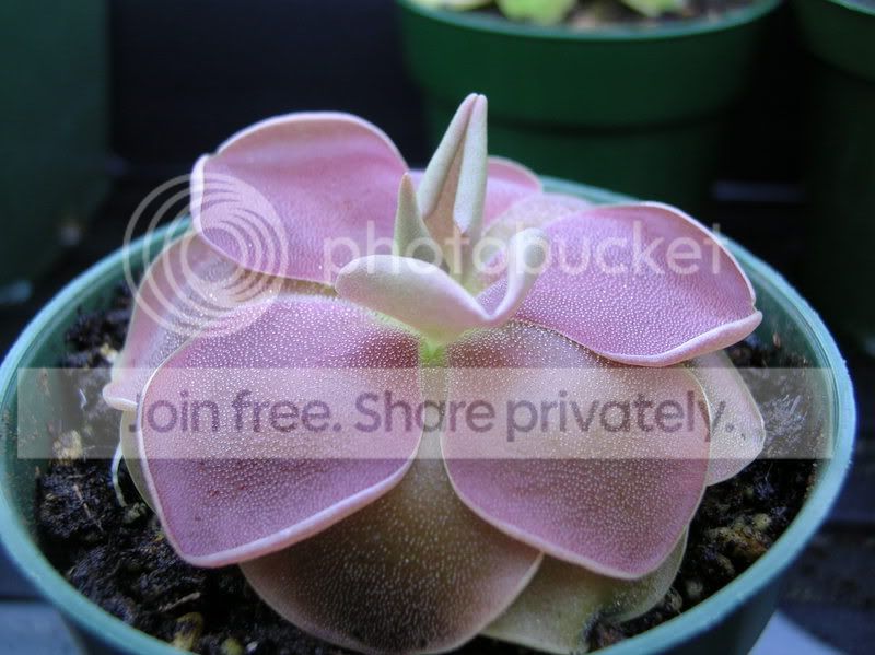 DSCN2568.jpg