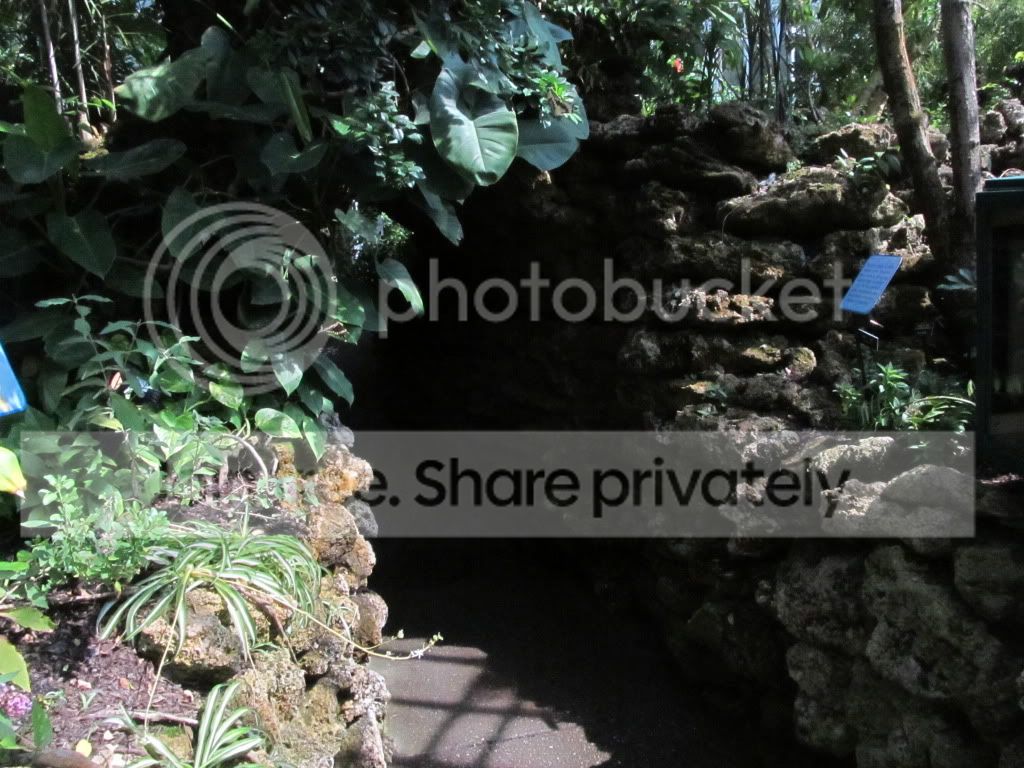 IMG_8342.jpg