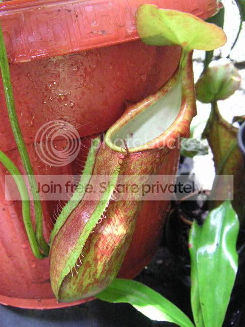 PICT1677.jpg