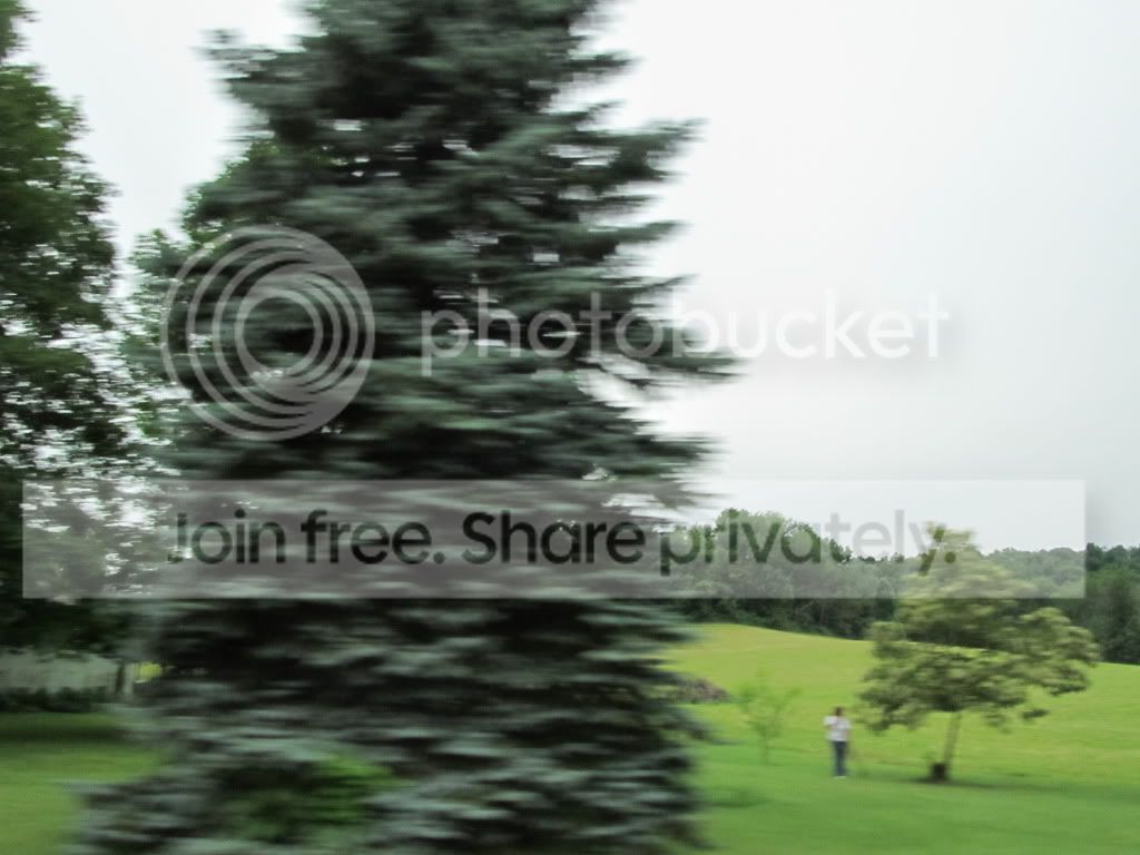IMG_4564.jpg