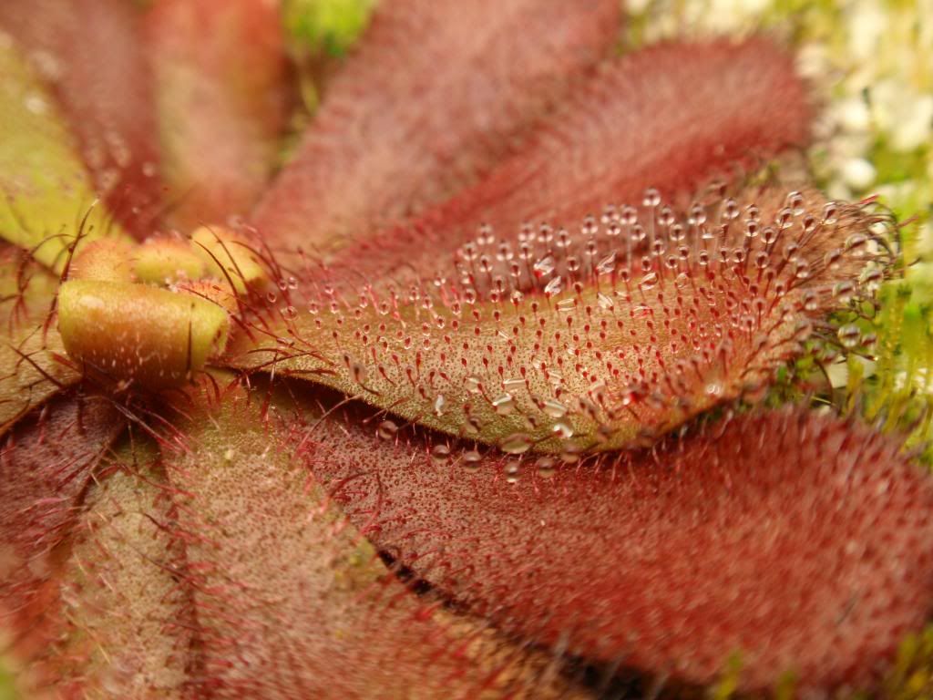 P2230299_zpsc28da2e8.jpg