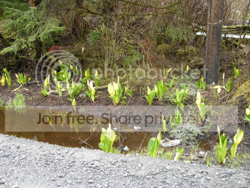DSCN7247.jpg