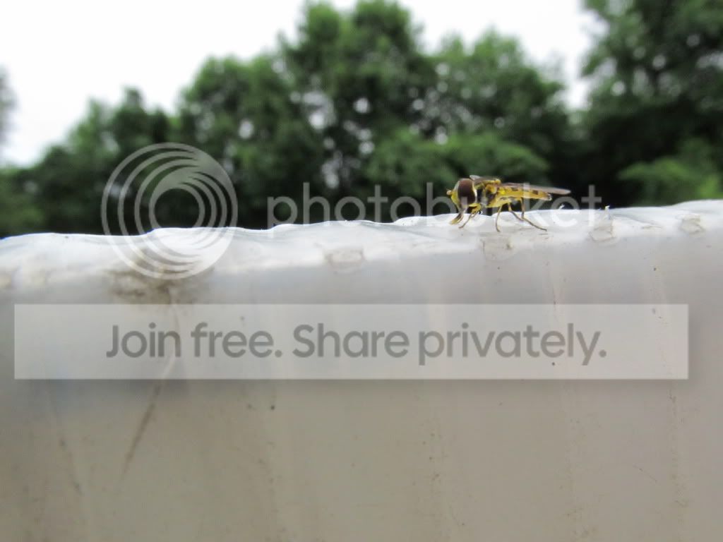 IMG_4591.jpg