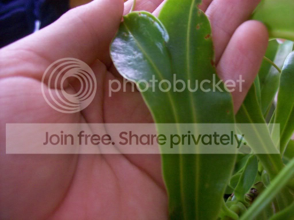 somepics175.jpg