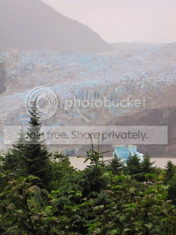 IMG_0243_zps84619c82.jpg