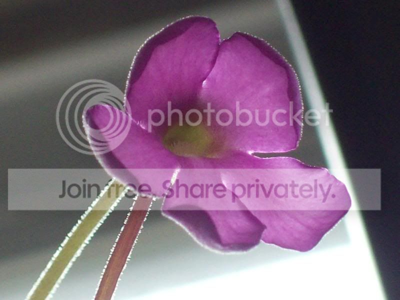 100_9306.jpg