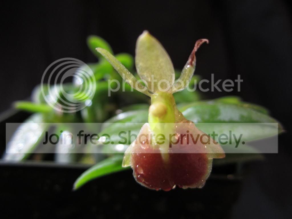 IMG_1551_zpsf845507e.jpg