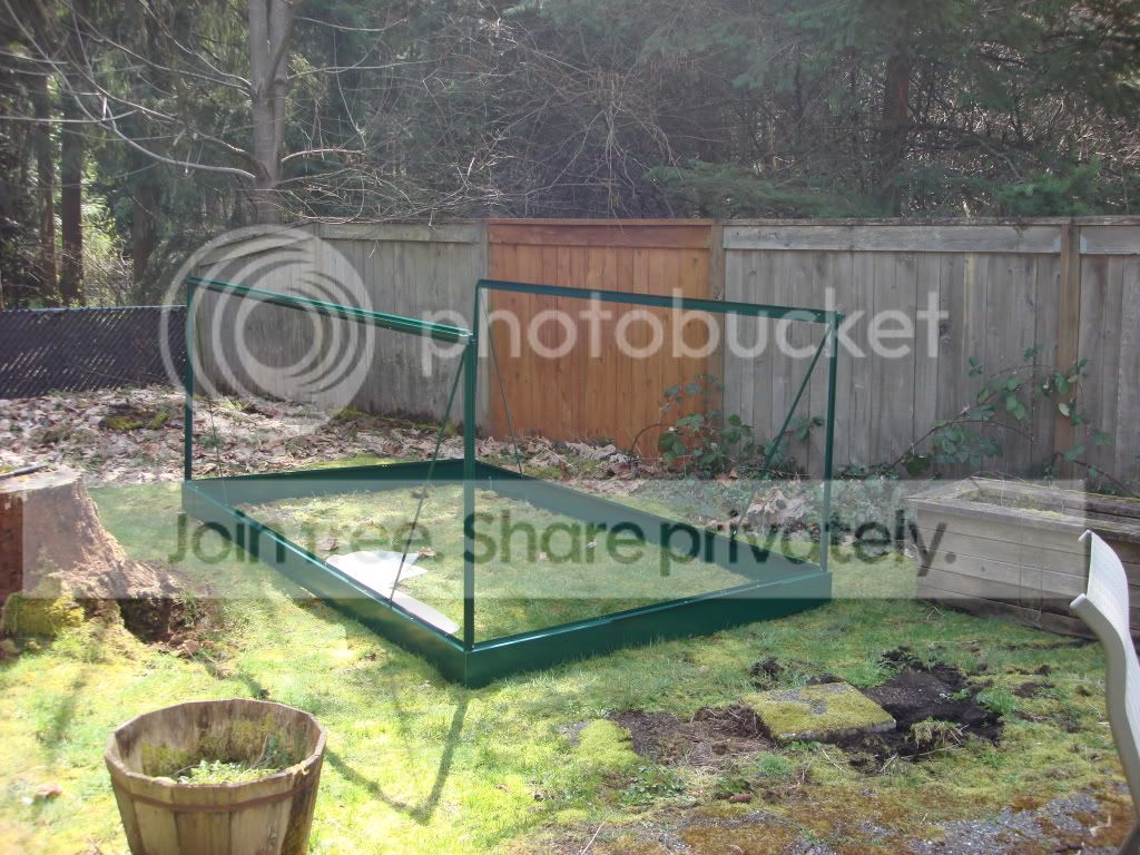 greenhouseproject005.jpg