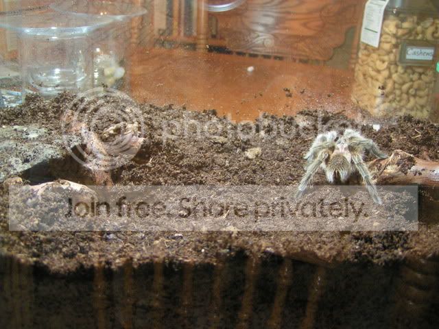 PICT0528.jpg