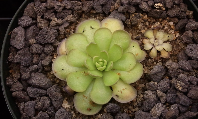 6255219854_10ab055aa9_b.jpg
