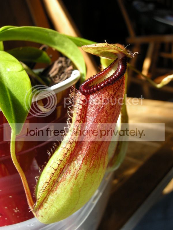 DSCN7104.jpg