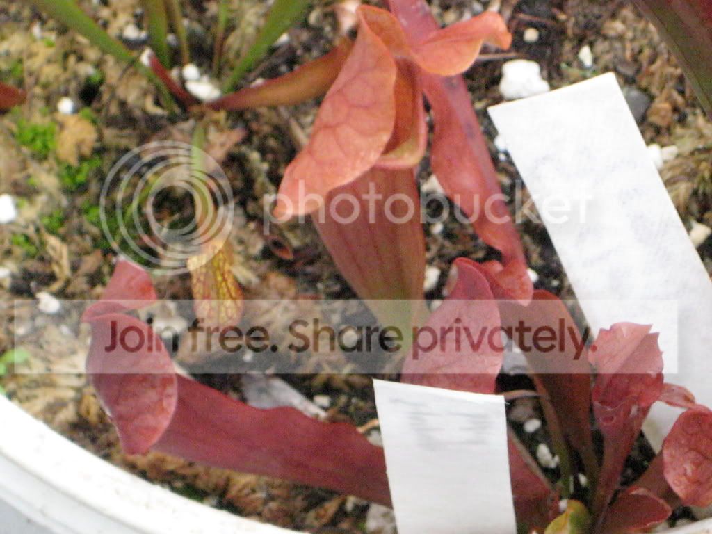 IMG_0769.jpg