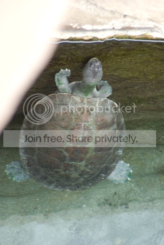 IMGP3341_zpsz4hrhjt1.jpg