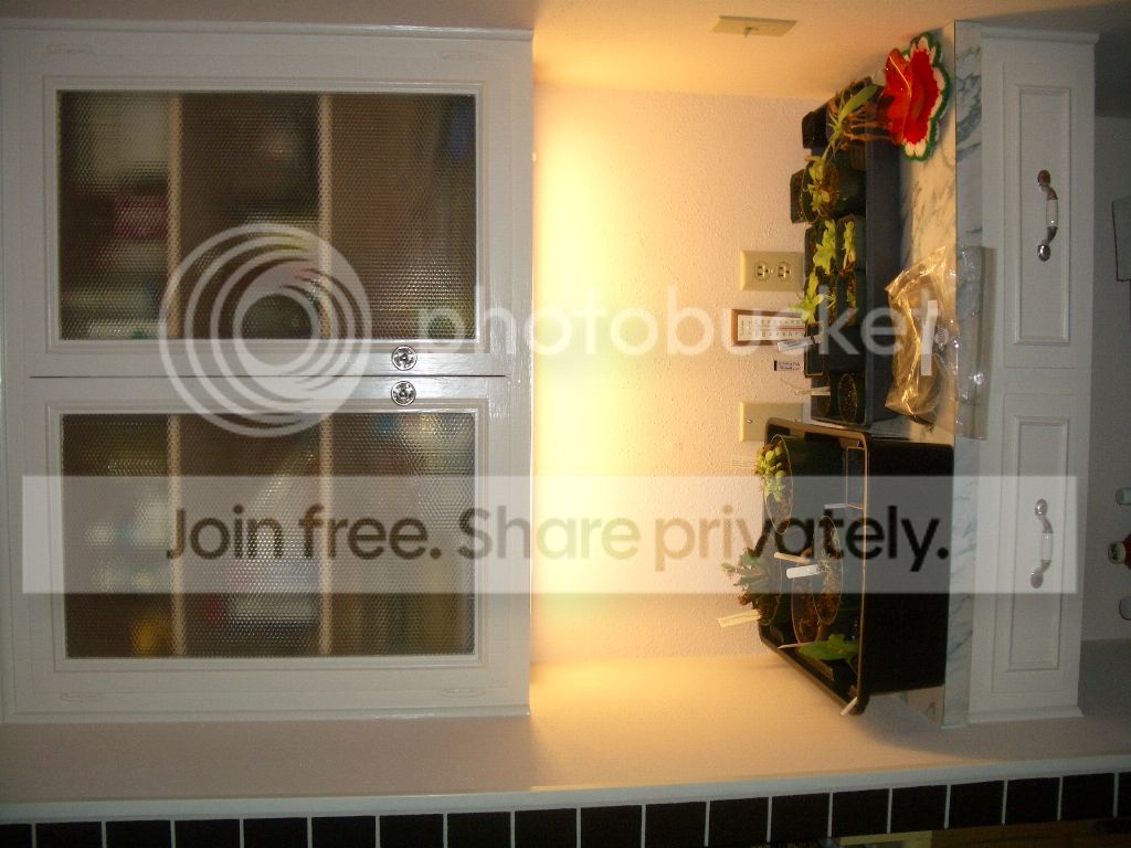 IMGP9493.jpg