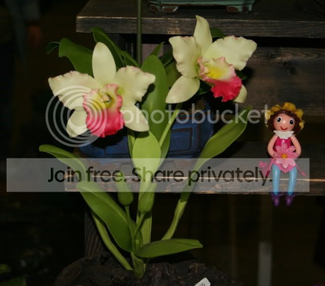 IMG_7887sm.jpg