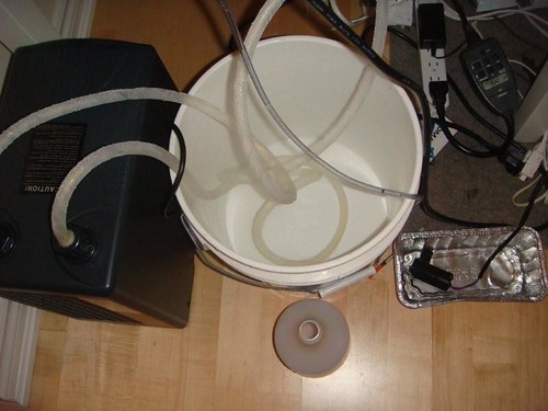3824846405_c9521ca87f.jpg