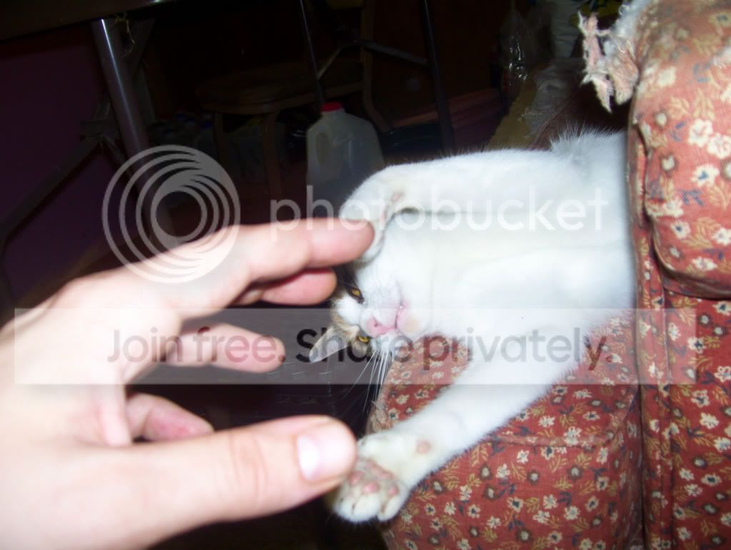 100_4326.jpg