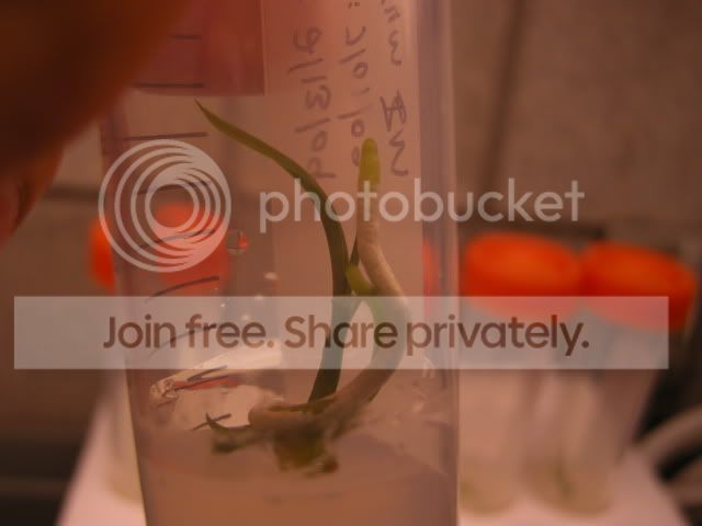 DSCN8249.jpg