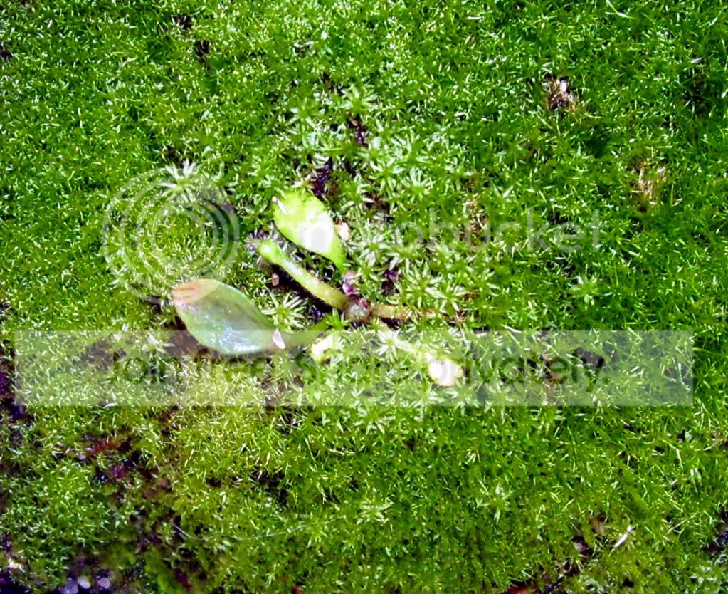 100_6075.jpg