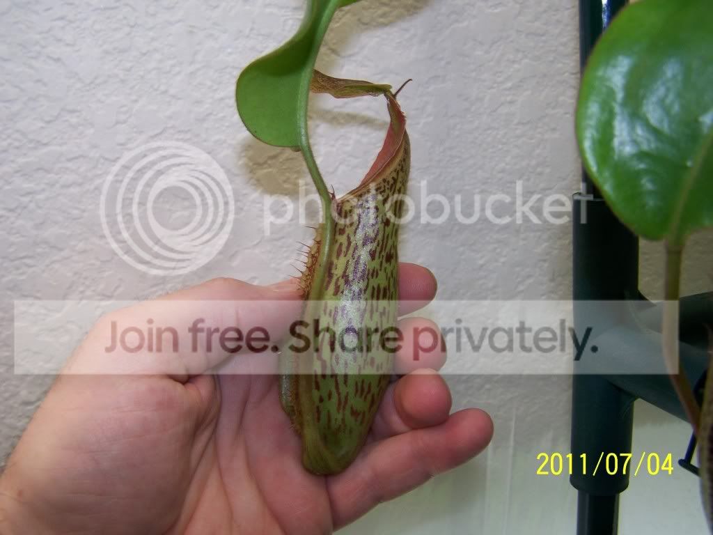 100_4758.jpg