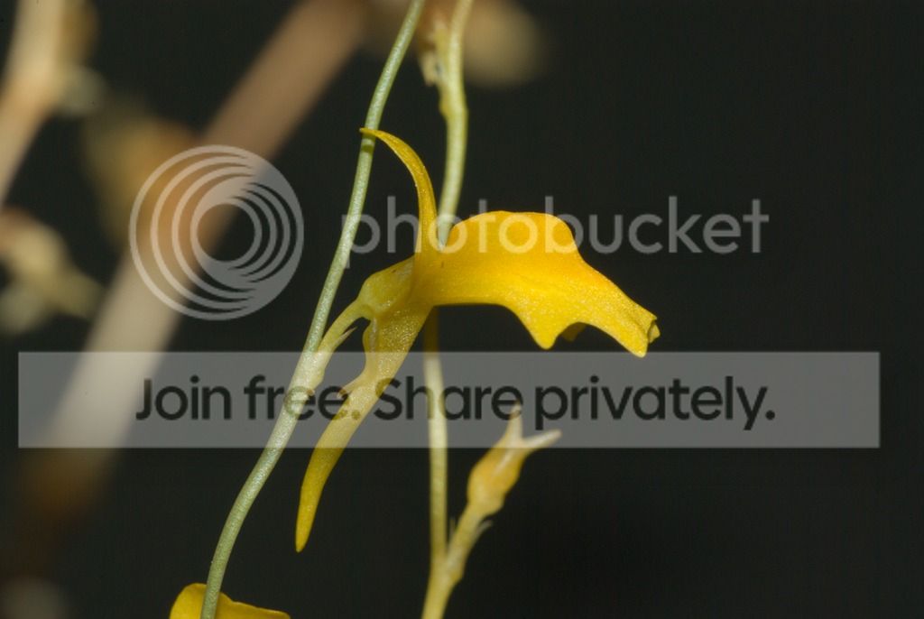 IMGP1537_zpsctk2wl43.jpg