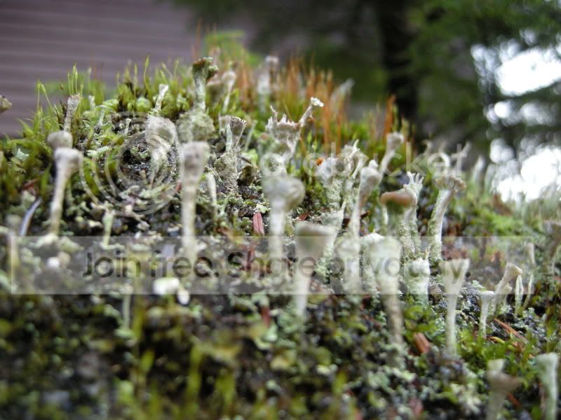 DSCN5499.jpg