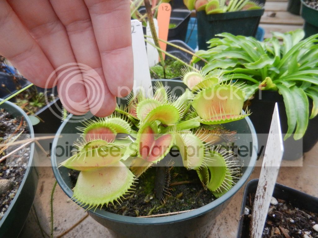 UNCCGreenhouse022.jpg