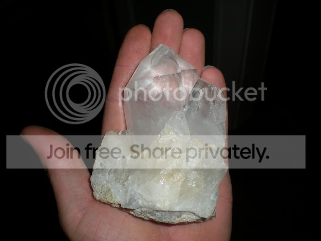 DSCN7081.jpg