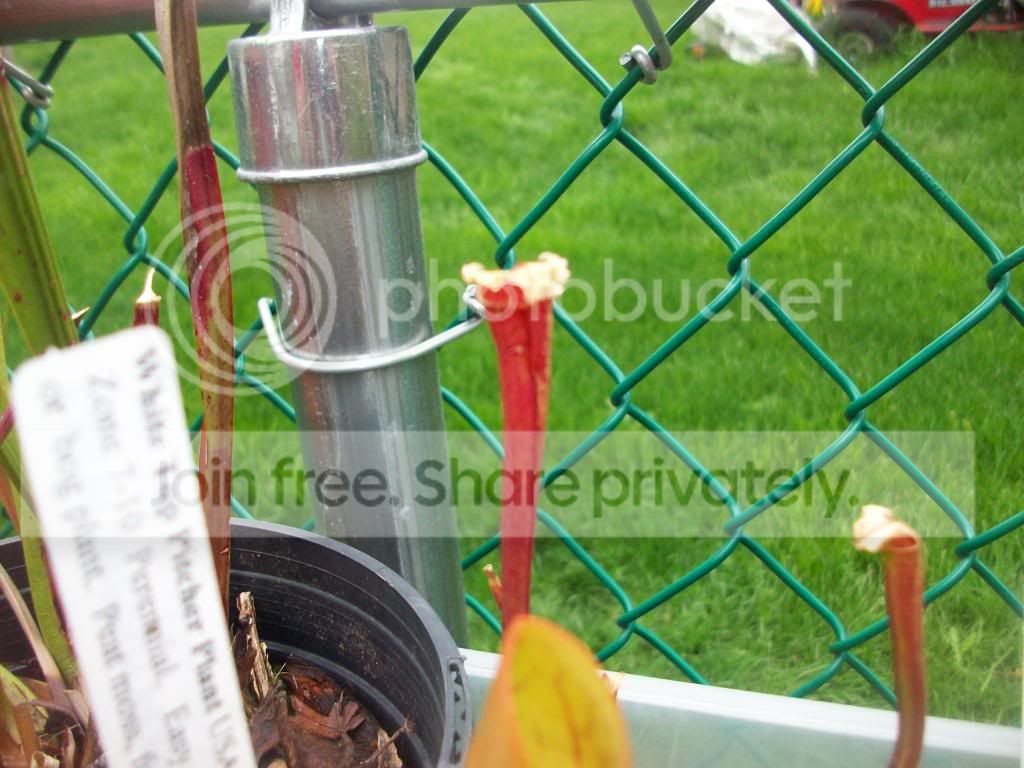 100_2807.jpg