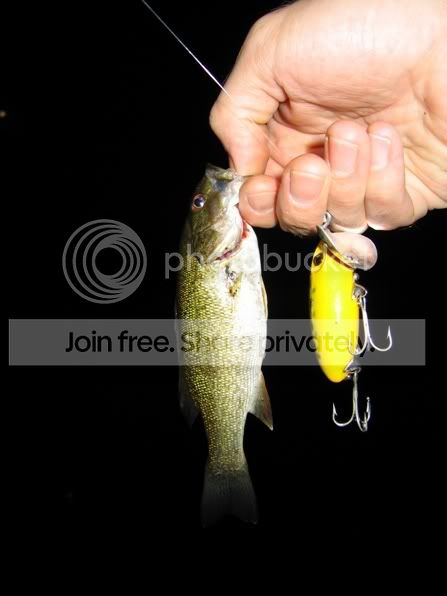 LRGBASS.jpg