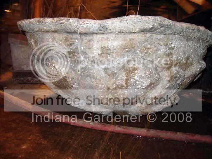 dwarf-lotus-bowl.jpg