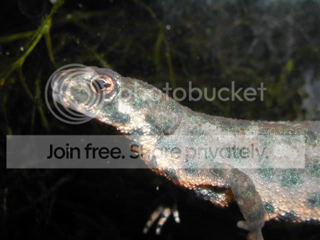 DSCN4346.jpg