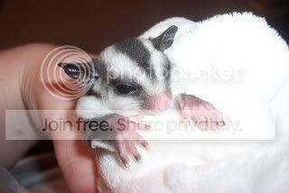 SleepyScubee003.jpg
