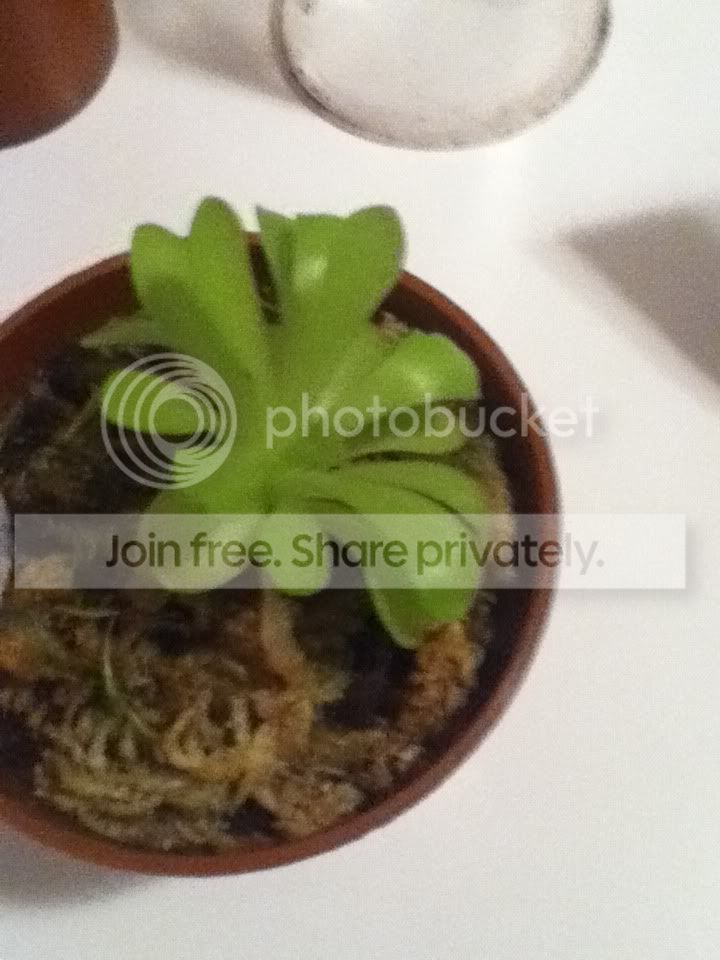 photo-5.jpg