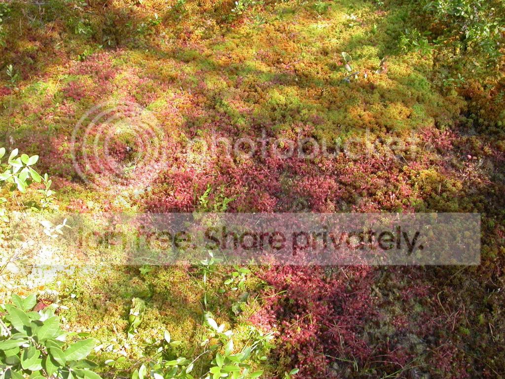 DSCN9135.jpg