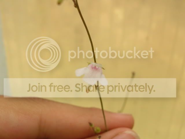 DSCN4400.jpg