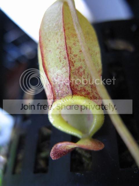 IMG_6873_zps026698b3.jpg