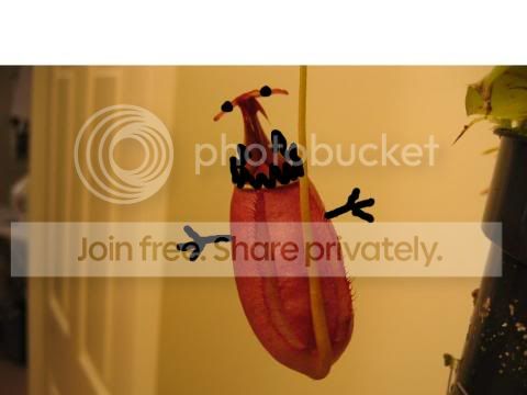 bcal.jpg