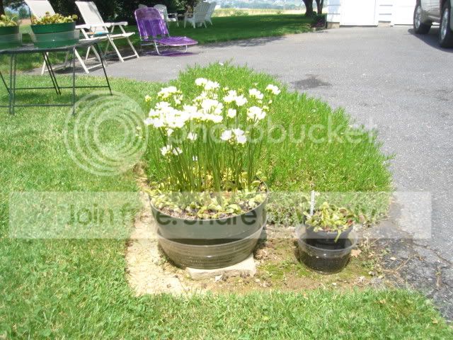 DSC02237.jpg