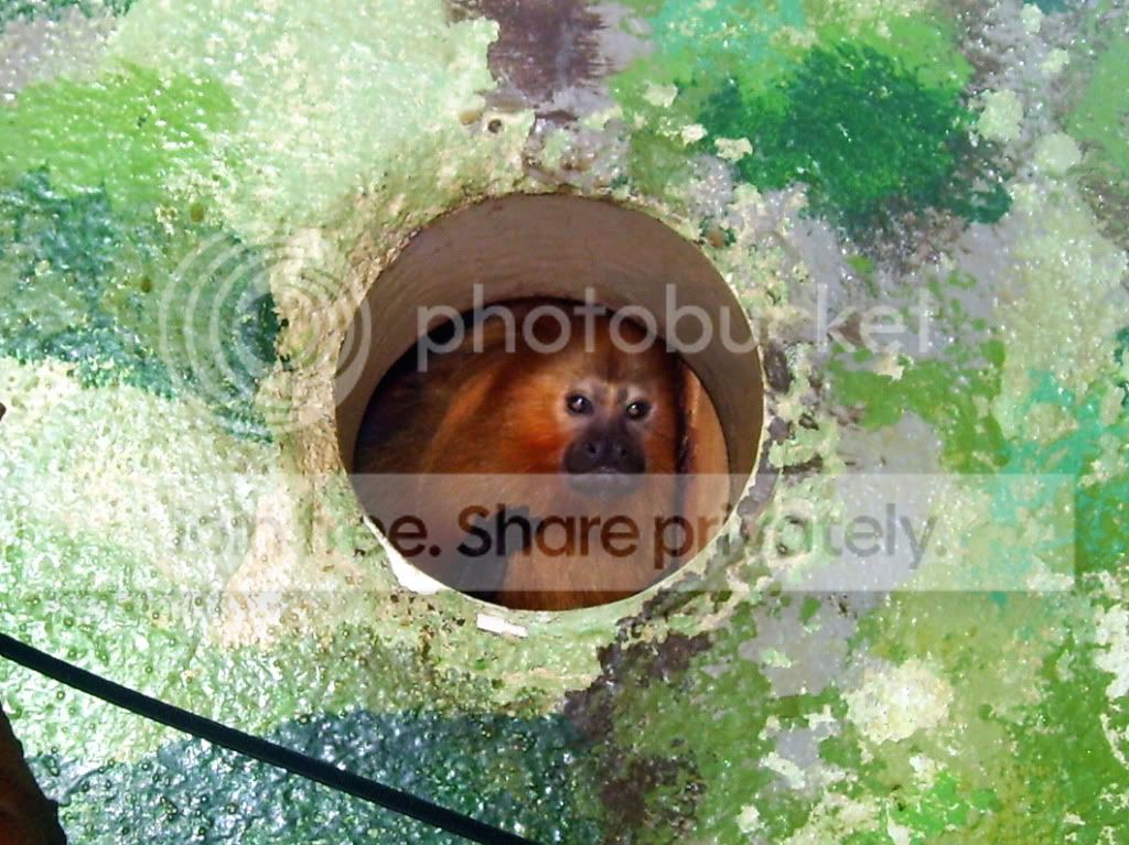 100_5717.jpg