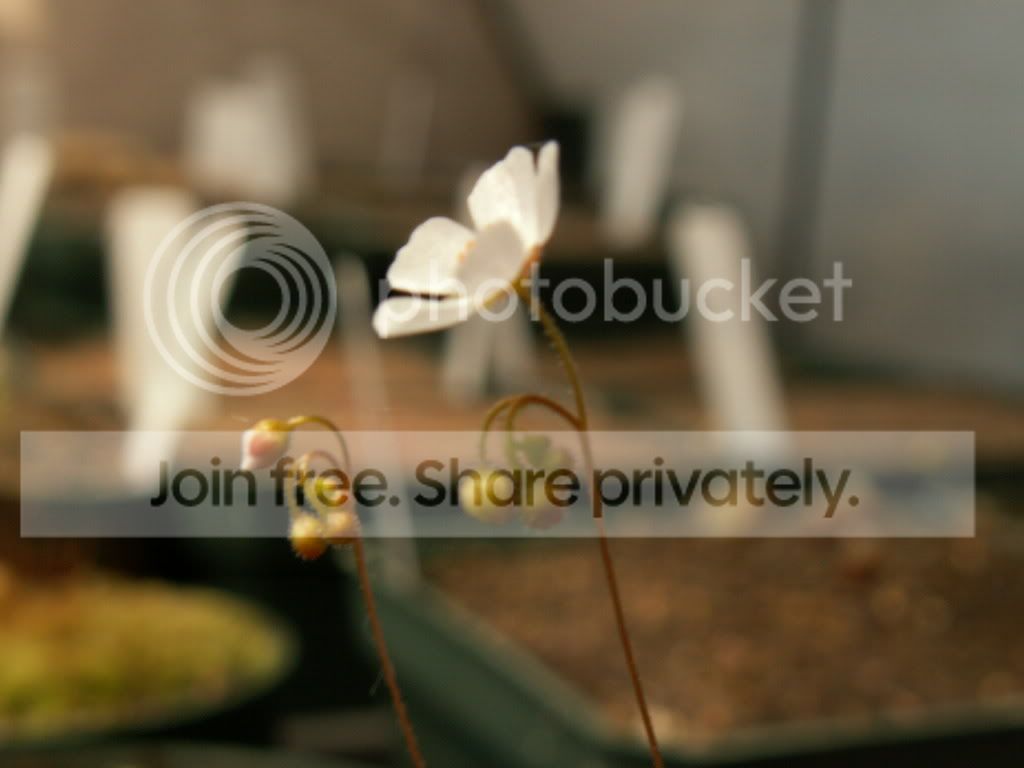 PICT0004.jpg