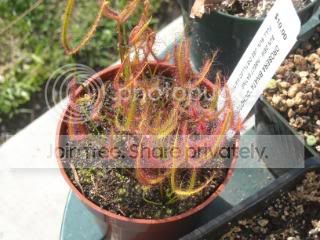 DSCN0244-2.jpg