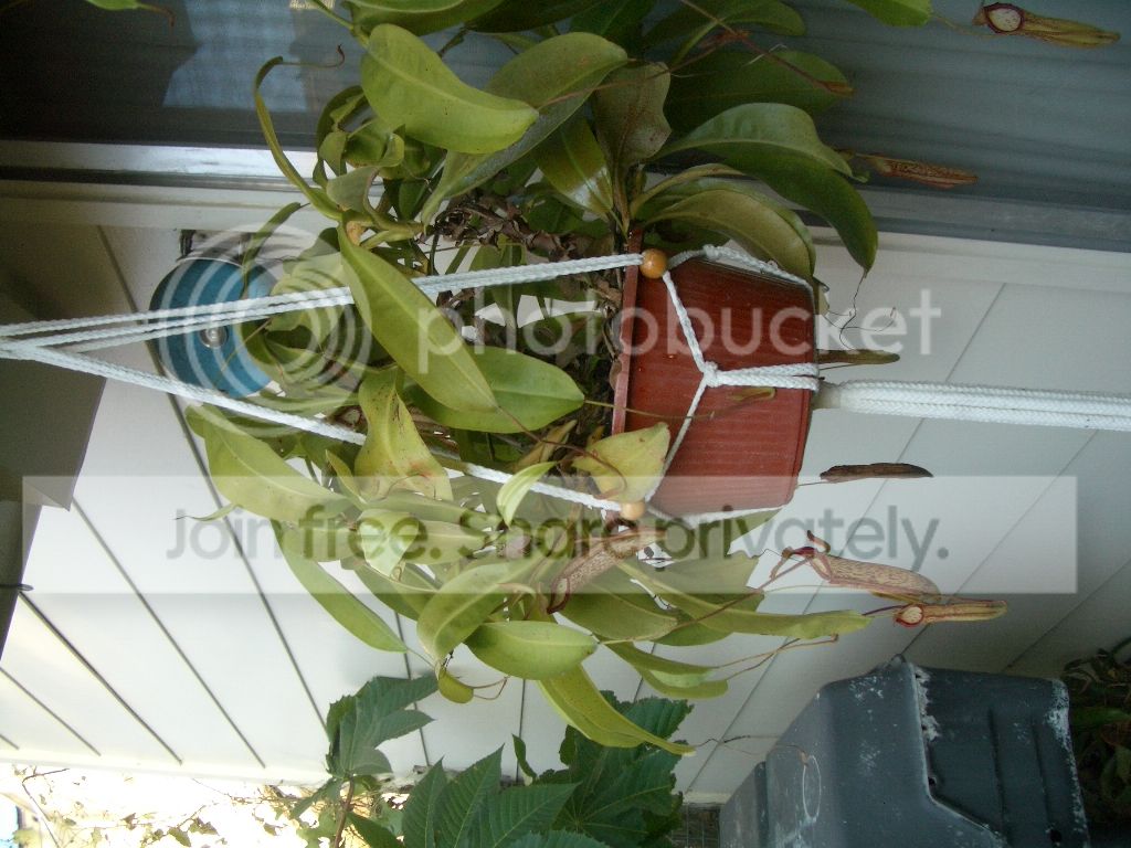 IMGP9573.jpg