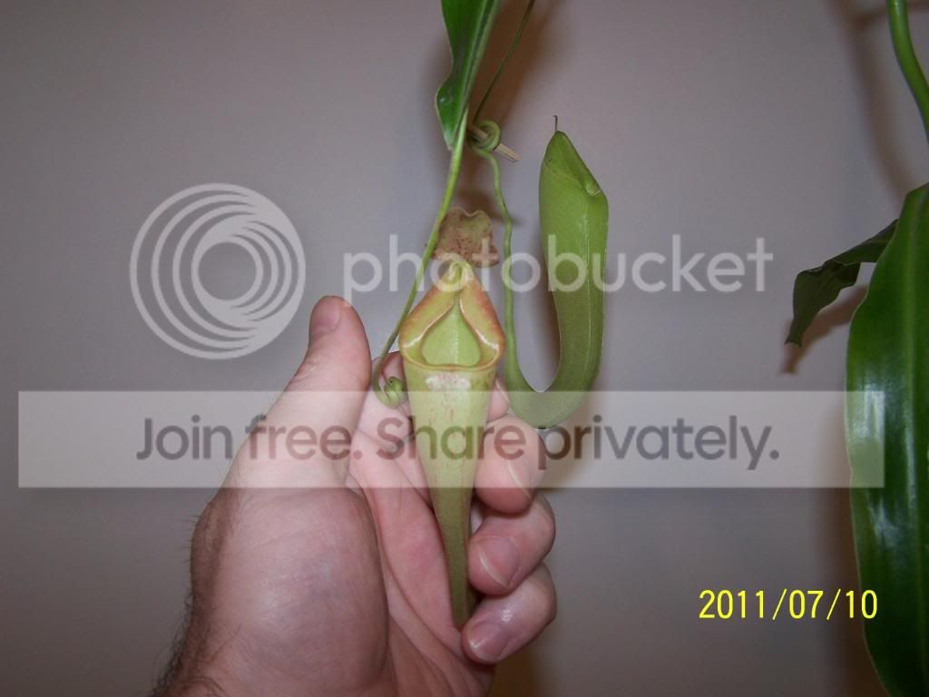 100_4788.jpg