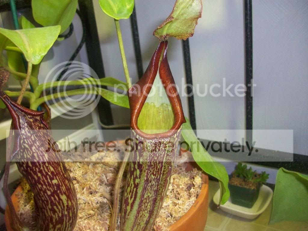 100_2749.jpg