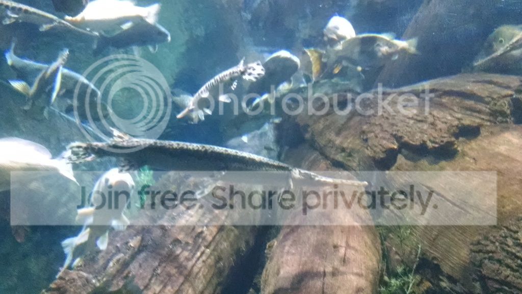 IMG_20151204_121736826_zpsoi58oec5.jpg