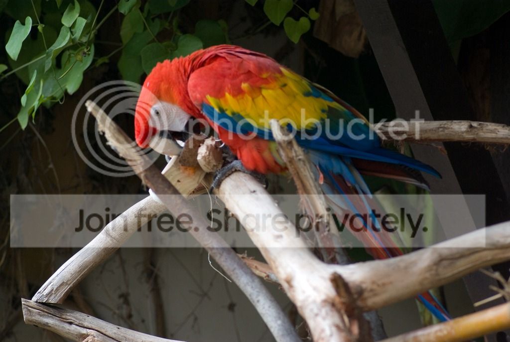 IMGP3307_zpsc2kefdrx.jpg