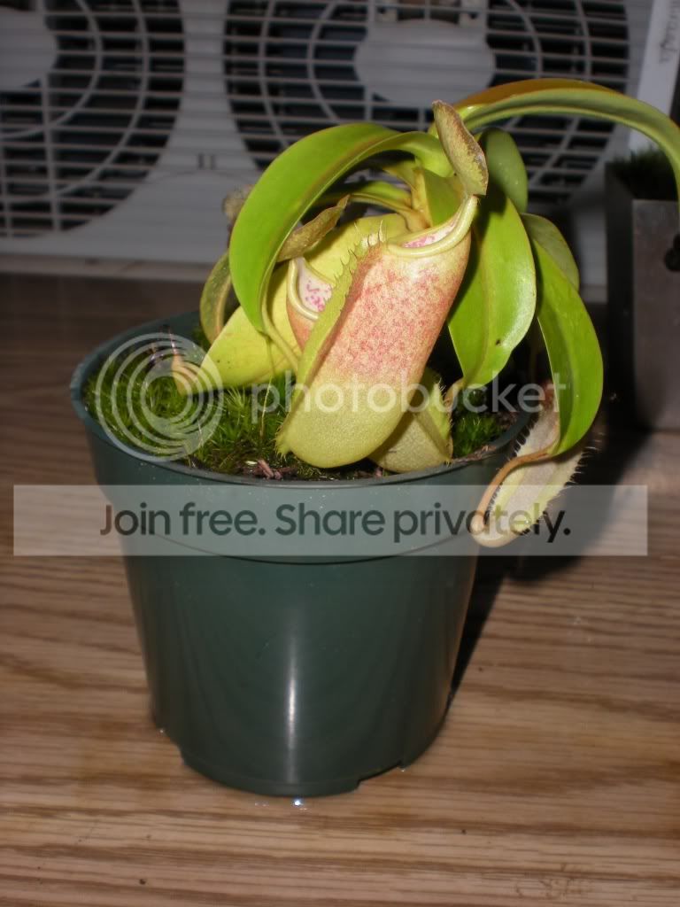 DSCN8802.jpg